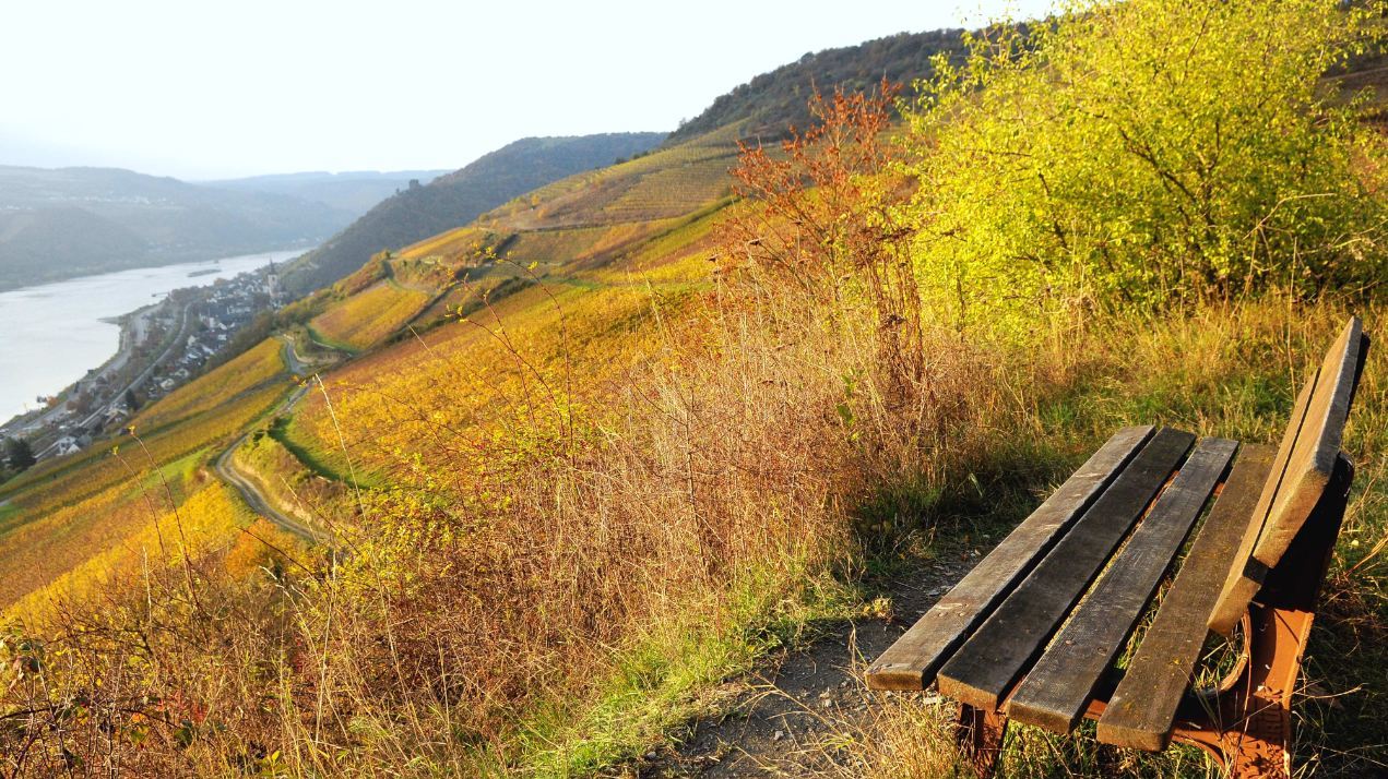 Winterlich romantische Stimmung in den Weinbergen und Wanderwegen